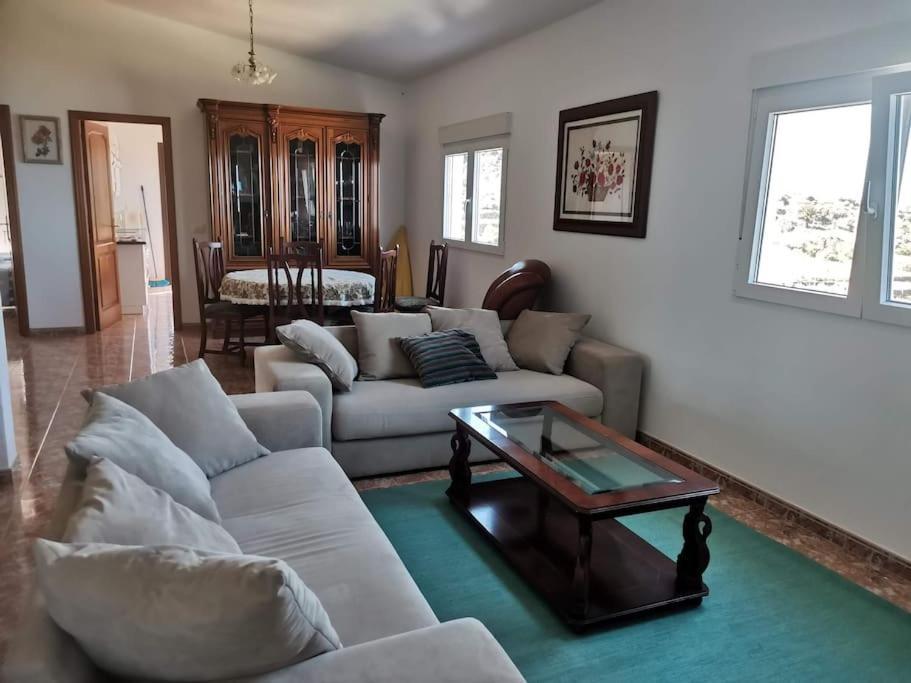 Ferienwohnung Brisa Del Mar La Guancha エクステリア 写真